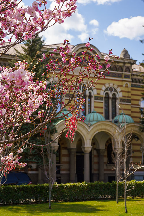 Wills Estates & Planning